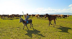 Fotolarla Ağrı'daki Dünya Çiftçiler Günü