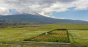 Türkiye'nin çatısında kurduğu bahçe ile tabuları yıktı 