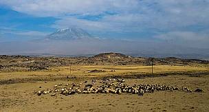 Ağrı Dağı sisle kaplandı