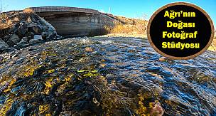 Sonbahar tonları doğayı fotoğraf stüdyosuna çevirdi