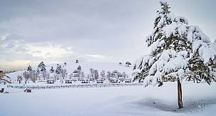 Ağrı'da kartpostallık kış manzaraları