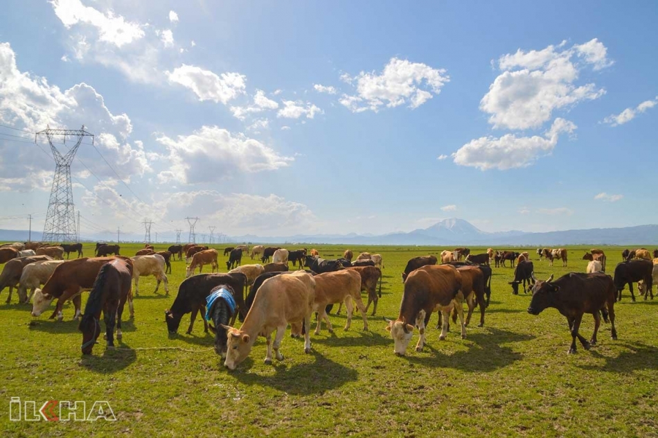 Çiftçilik ve hayvancılığın önemi çok daha iyi anlaşıldı