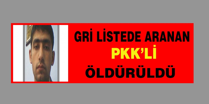 Gri listede aranan PKK'Lİ öldürüldü