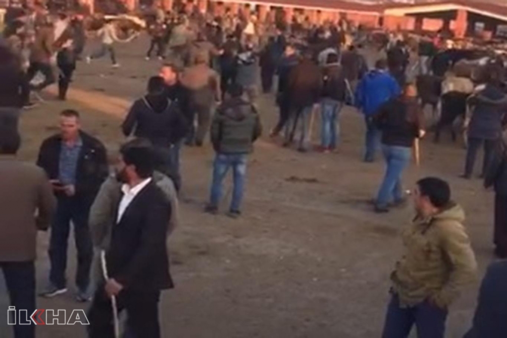 Hayvan pazarında sopalı kavga