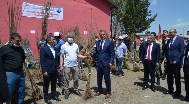 Ağrı'da 60 bin meyve ağacı ücretsiz dağıtıldı