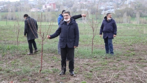 Ağrı Tarım ve Orman İl Müdürü Engin: 