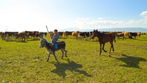 Çiftçilik ve hayvancılığın önemi çok daha iyi anlaşıldı