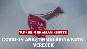 Covid-19 araştırmaları