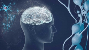 Salgın döneminde MS hastalarının ilaçlarını almaması atak ve özürlülük riski artabilir