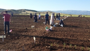 Bingöl Üniversitesi Hobi Bahçeleri yoğun ilgi görüyor 