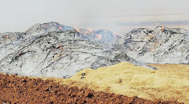 Nusaybin’den 78 ton saman yandı