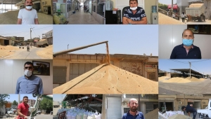Şanlıurfa’da buğday pazarı ve zahireciler borsası esnafı bu yılki mahsulden memnun 