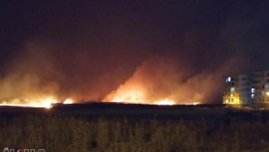 Suriye sınırında yangın çıktı 