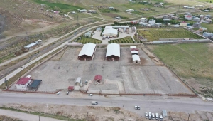 Van'da canlı hayvan pazarı pazartesi açılacak 