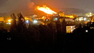 Malatya'da çıkan orman yangını güçlükle söndürüldü 