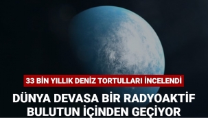 Tortullarda demir-60 izotopunun açık izleri keşfedildi