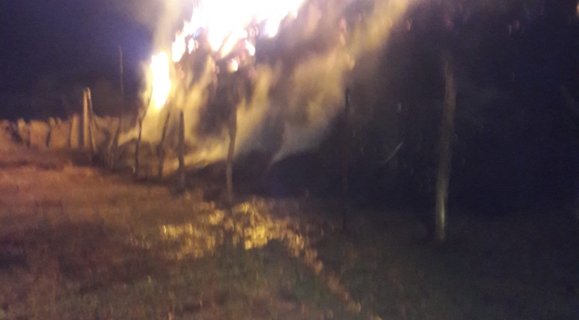 Ağrı'da 50 ton ot ve saman zarar gördü