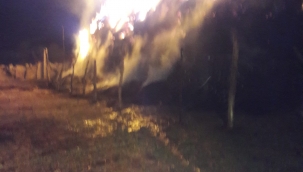 Ağrı'da 50 ton ot ve saman zarar gördü