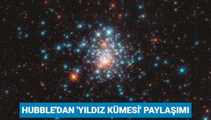 Hubble Uzay Teleskobu bir yıldız grubunu görüntüledi
