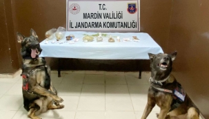 Mardin’de torbacılara esrar temin eden 4 kişi yakalandı