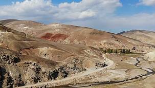 Ağrı'da altın madeni sevinci