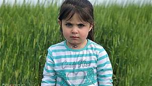 Leyla Aydemir davasına itiraz