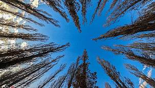 Sonbahar tonları doğayı fotoğraf stüdyosuna çevirdi 