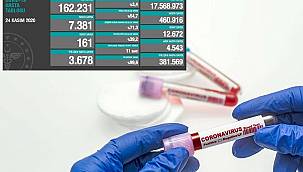 Türkiye'de son 24 saatte 7381 Coronavirus vakası tespit edildi 