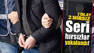 Ağrı'da iki hırsızlık olayı aydınlatıldı 