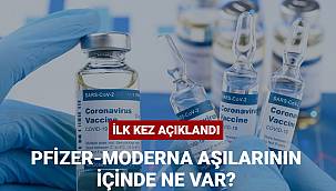 Covid-19 aşılarının içinde ne var