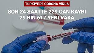 Covid-19 nedeniyle 229 kişi vefat etti, 29 bin 617 yeni vaka tespit edildi 