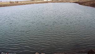 Diyarbakır'da 'hayvan içme suyu göletleri' oluşturuluyor 