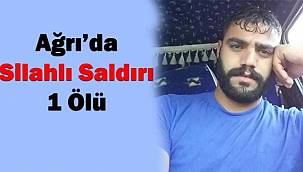 Doğubayazıt'ta silahlı saldırı