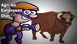 Emniyet yakaladı, Savcı serbest bıraktı