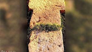 Göbeklitepe'ye benzerliğiyle dikkat çeken Sefertepe, arkeolojik kazı için onay bekliyor 