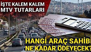 MTV'nin yeni zammı ile kim ne kadar ödeyecek