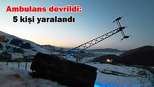 Ağrı'da yaralıları taşıyan ambulans devrildi: 5 yaralı