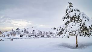 Ağrı'dan güzel kış manzaraları