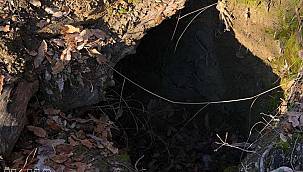 Bitlis kırsalında tespit edilen 10 sığınakta ele geçirilen malzemeler imha edildi 