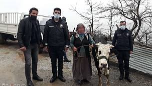 İneği çalan hırsızlar yakalandı 