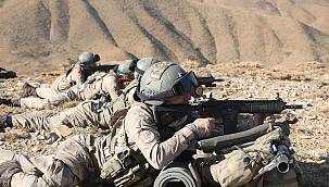 Şırnak'ta öldürülen 5 PKK mensubundan 2'si gri listeden 