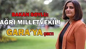 Soylu, Gara'ya giden HDP'li vekilin Dirayet Dilan Taşdemir olduğunu açıkladI