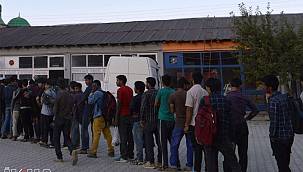 29 düzensiz göçmen yakalandı 