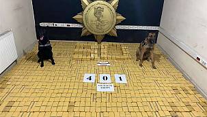 401 kilogram eroin ele geçirildi 