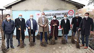 5 bin 500 fidan dağıtıldı