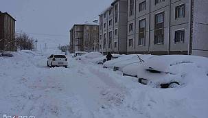 Bitlis'de yoğun kar yağışı etkisini sürüyor 