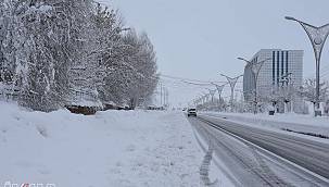 Bitlis'te kar yağışı etkili oluyor 