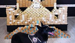 Hakkâri'de patlayıcı ve uyuşturucu madde ele geçirildi