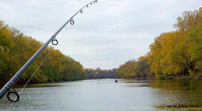 Murat Nehri ve kKeban Gölünde balık avı yasağı