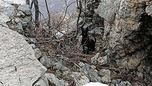 PKK'nin tuzakladığı patlayıcılar imha edildi